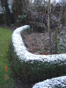 Sneeuw op 10 maart 2013